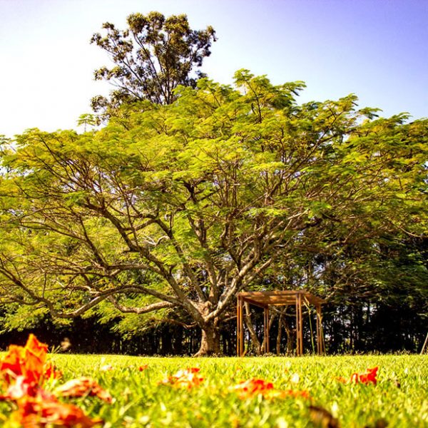 Ambiente ao ar livre para seu evento ficar mais próximo da natureza